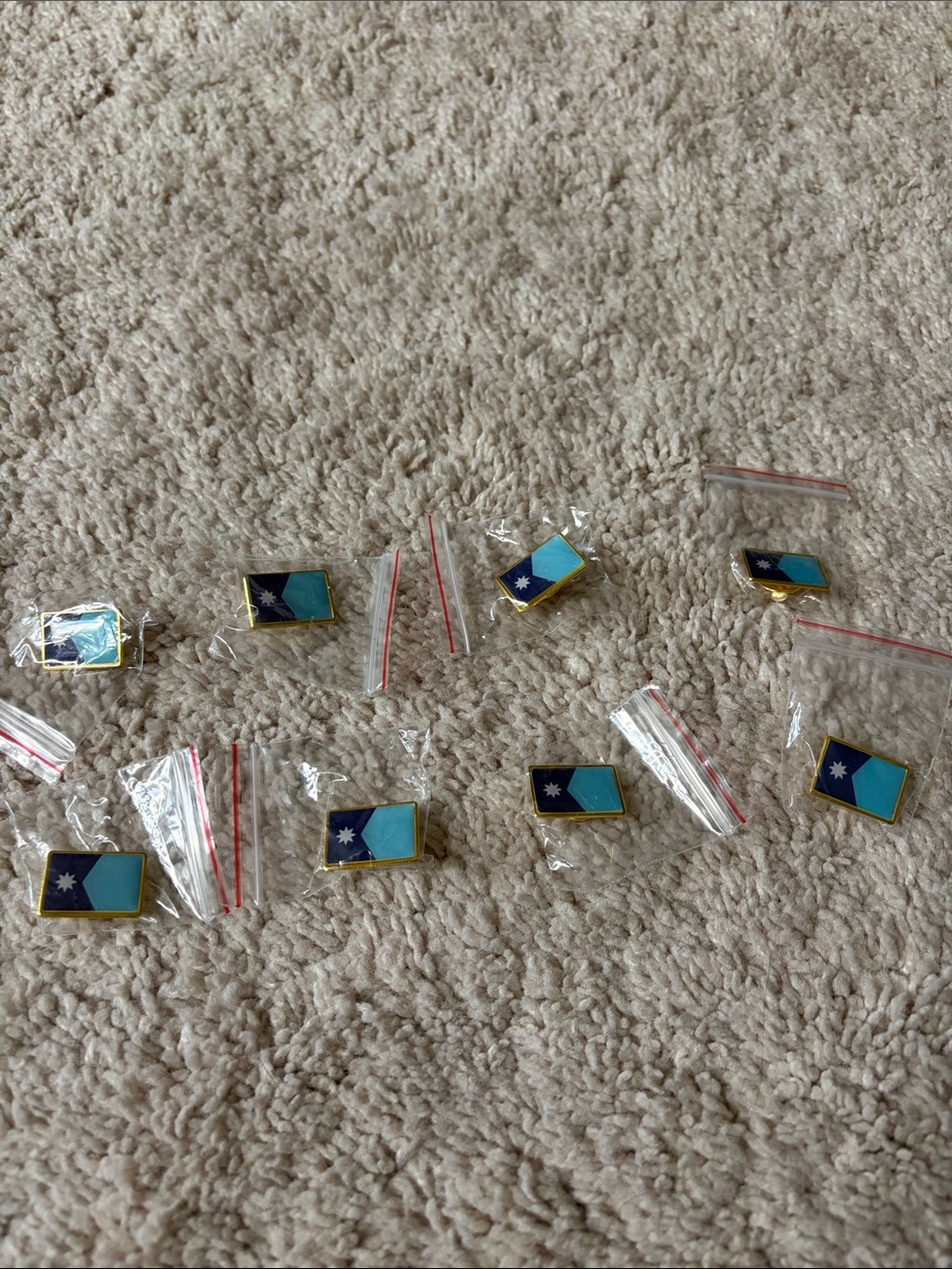 Set of 8 Minnesota State Flag Pins